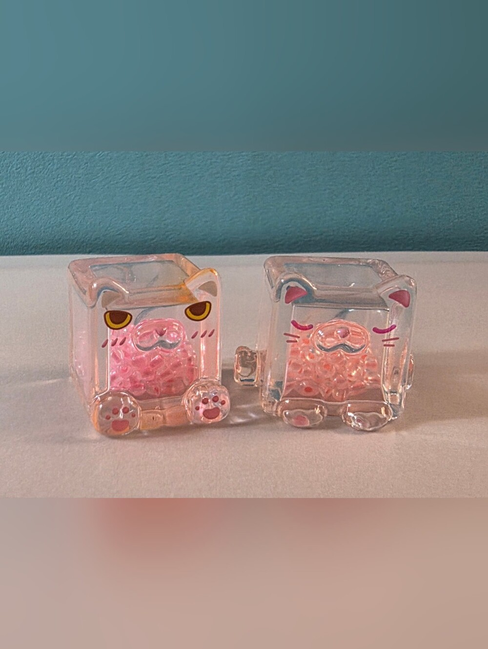 Box Cat Shaker Beans